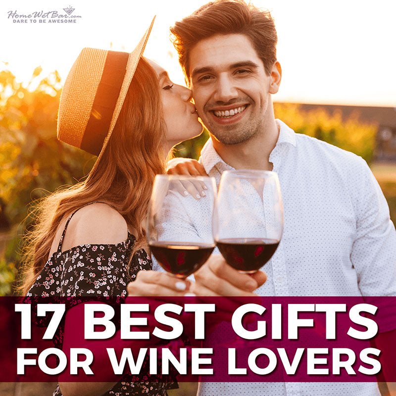 17 Best Gifts for Wine Lovers - HomeWetBar