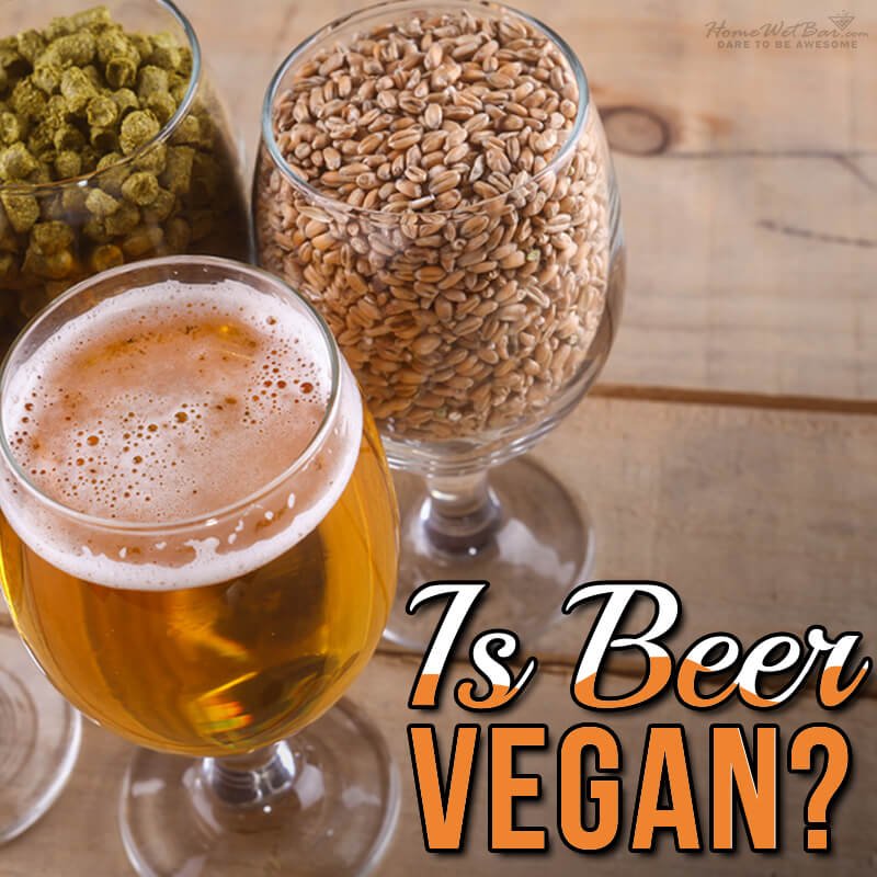 Is Beer Vegan? Your Questions Answered! - HomeWetBar